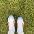 F50 | 아디다스 F50 LL 엘리트 FG 실착 후기!!!