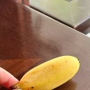 후수농장 | [Nha Trang] 나트랑 DAY 4 : 판랑 사막투어 솔직 후기 l 타이거 새우 맛집 l 더 아남 체크아웃 후 수영...