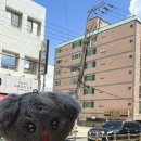 수영돼지국밥 이미지