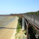 장항종로약국 이미지