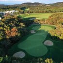 해슬리나인브릿지 컨트리클럽 이미지