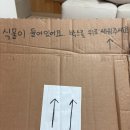 마음치유 생화 플로리스트 | [내돈내산] 와디즈 생화 치유 키트 체험기 – 2회차 &lt;포근한 밤으로 여정&gt;