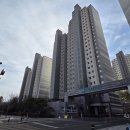 멍멍스타 - 미추홀구 경원대로833번길 57 | 멍멍스타