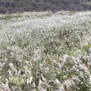 밀양영남루(울산) 이미지