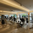 메이저피트니스 이미지