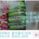 띵동아이스크림 - 남양주시 도농로17번길 19 | 띵동아이스크림