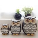 부엉이랜드 이미지