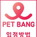 소울메이독 이미지