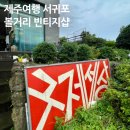 구제세상 | 제주여행 서귀포 볼거리 빈티지샵 구제세상 방문후기