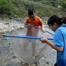 자매민박 이미지