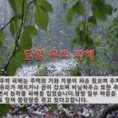 엠하우스컴퍼니