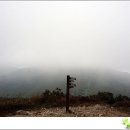 개림초등학교 이미지