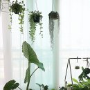 대왕판교로 이미지