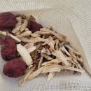 국무원합기도 이미지