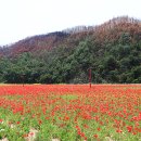 오색무지개 이미지