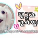 GS 터미널점 이미지