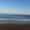 동해바다 이미지