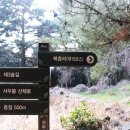 이교동일제군사시설 | [제주] 북촌리 해안가 일제동굴진지 가이텐 1주 차 서우봉 3편