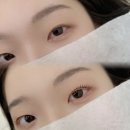 와이오엔 이미지