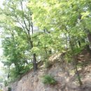 밤나무산장 이미지