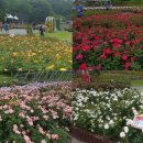 신여천로 이미지