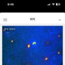 네일더뷰티 이미지