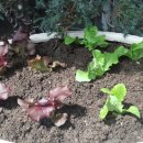 함박골농장 이미지