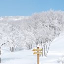 언덕위힐링목장