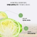 올가릿 네이버블로그