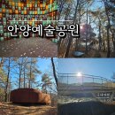 중간자(안양) | 안양 가볼만한곳 안양예술공원 다양한 작품들을 보면서 숲길 산책