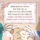 강서 더힐 동물병원 이미지