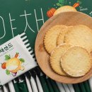 소정목장 | 제주 아침미소목장 카페 후기! 말이랑 인생샷 찍을 수 있는 우유주기 체험 솔직후기 (입장료, 체험료)