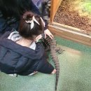 재리쥬 작은동물원 이미지