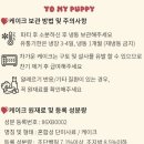 투마이퍼피 이미지