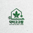 닥터고고펫