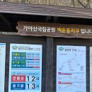 가야산칠불봉야생화마을 | 가야산 만물상 코스 후기 | 백운동 원점회귀