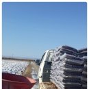 건일농장 이미지