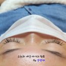아름단아
