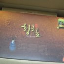 디피라이프