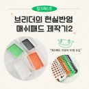 레스트44 | 강동구 파충류샵 헐크레스트 크레스티드게코 브리더의 현실 반영 매쉬패드 제작기 2 | 버로우 방지...