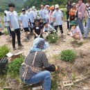 동향초등학교 이미지