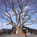 원용복마을 이미지