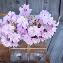 더조은부동산공인중개사사무소 이미지