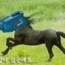 018-1 네이버블로그