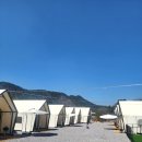 화순식당 | 광주 근처 글램핑 식당 애견동반가능 화순 오늘도캠핑다담 후기