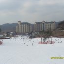 오크밸리 스노우파크 이미지