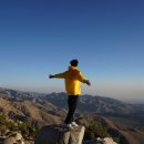 조슈아농장 이미지