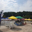 2019 충주 세계무술축제 월욜 탐방기