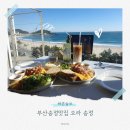오라 | 부산 송정 오션뷰 맛집 데이트코스 오라 방문후기
