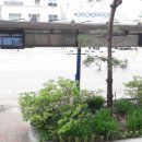 홍쌤헤어 - 중구 | 홍쌤헤어